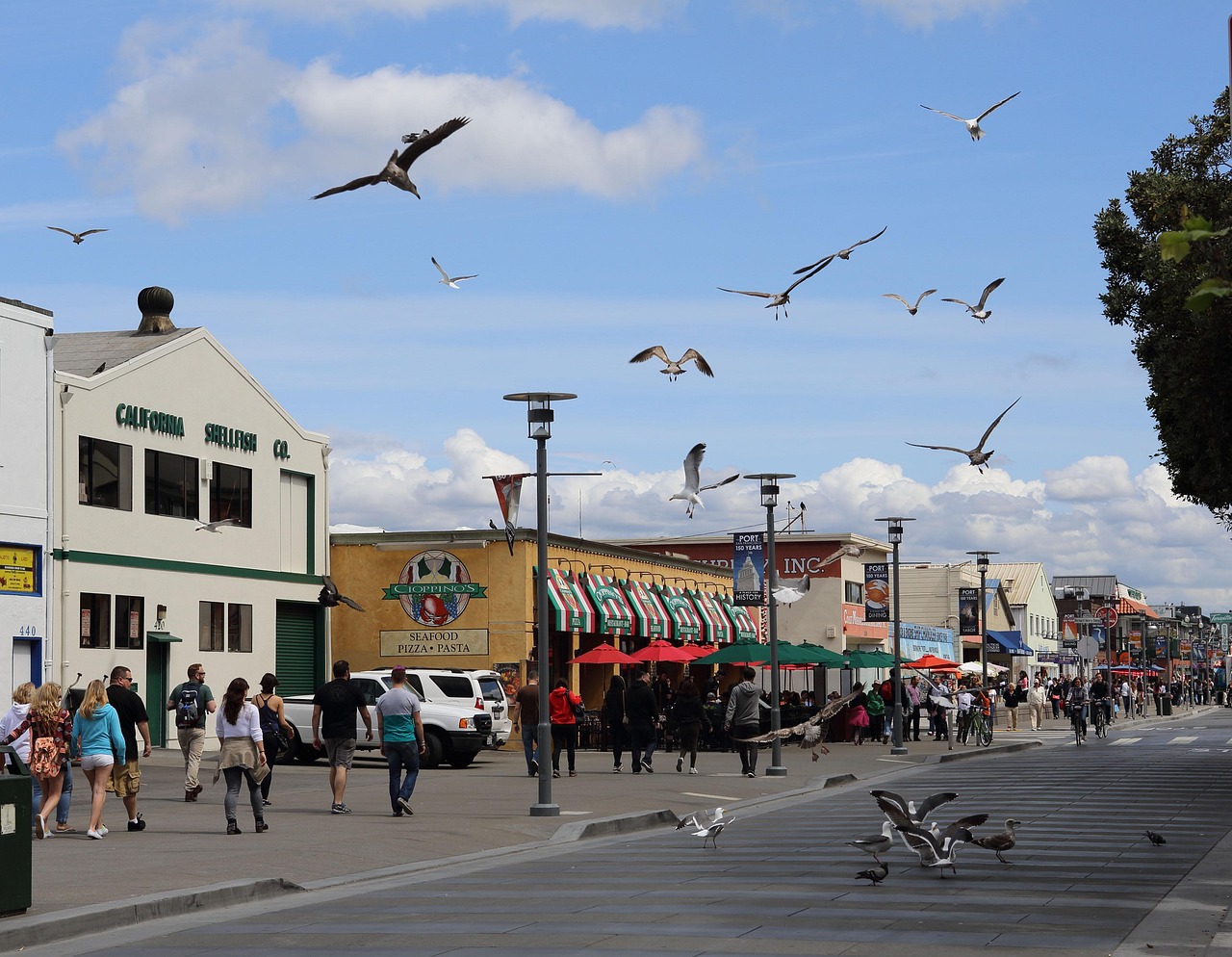 Monterey